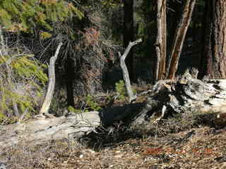 Bryce Canyon - Fairyland trail