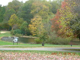 Holmdel Park - foliage