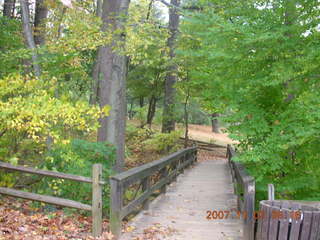 Holmdel Park - foliage