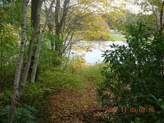 Holmdel Park - foliage