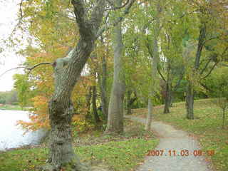 Holmdel Park - foliage - horses