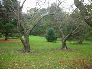 Holmdel Park - foliage