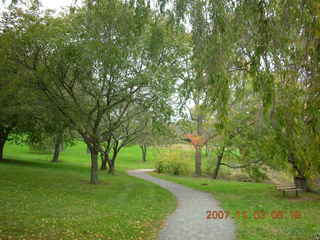 Holmdel Park - foliage