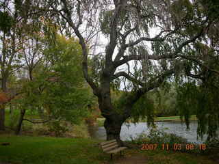 Holmdel Park - foliage