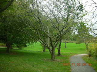 Holmdel Park - foliage