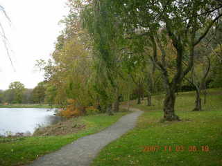 Holmdel Park - foliage