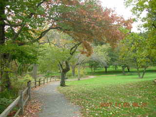 Holmdel Park - foliage