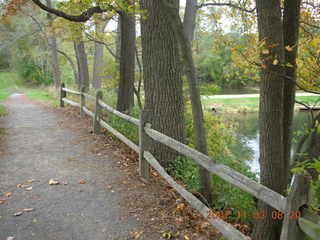 Holmdel Park - foliage