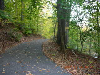 Holmdel Park - foliage - No Runners sign