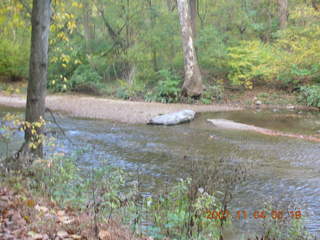 Pennypack Park