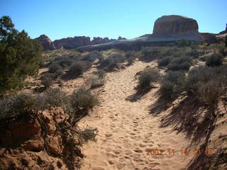 aerial - Canyonlands