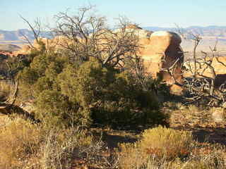 Arches National Park - Devils Garden hike