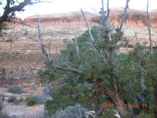 Arches National Park - Devils Garden hike - scene through arch