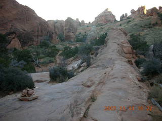 Arches National Park - Devils Garden hike - tree