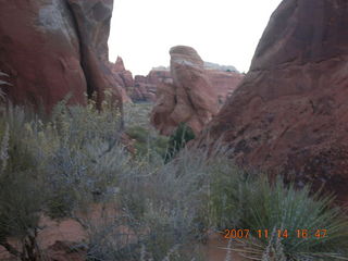 Arches National Park - Devils Garden hike - rabbit