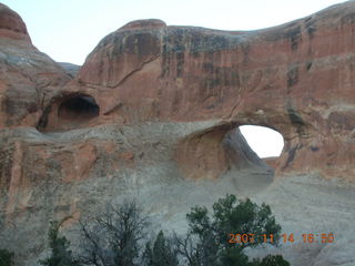 Arches National Park - Devils Garden hike - rabbit