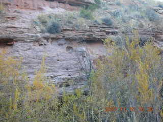 Moab - Negro Bill Trail