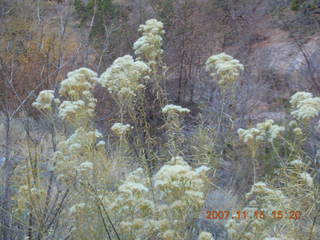 Moab - Negro Bill Trail