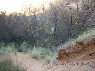 Moab - Negro Bill Trail