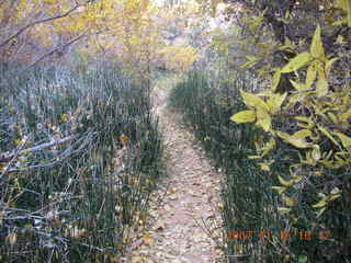 313 6bf. Moab - Negro Bill Trail