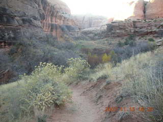 Moab - Negro Bill Trail