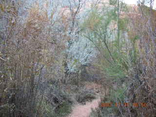 Moab - Negro Bill Trail