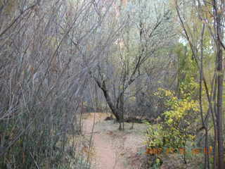 Moab - Negro Bill Trail