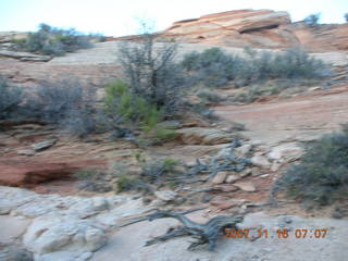 Canyonlands National Park - Lathrop Trail hike sign