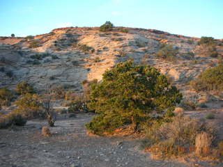 22 6bg. Canyonlands National Park - Lathrop Trail hike