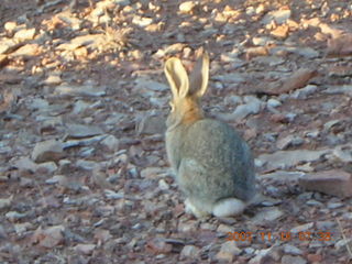 Canyonlands National Park - Lathrop Trail hike