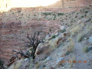 Canyonlands National Park - Lathrop Trail hike