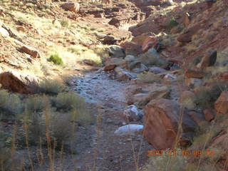 77 6bg. Canyonlands National Park - Lathrop Trail hike