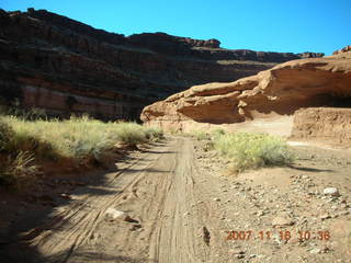 Canyonlands National Park - Lathrop Trail hike