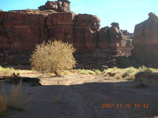 152 6bg. Canyonlands National Park - Lathrop Trail hike