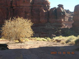 155 6bg. Canyonlands National Park - Lathrop Trail hike