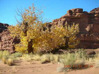 160 6bg. Canyonlands National Park - Lathrop Trail hike