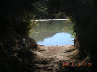 186 6bg. Canyonlands National Park - Lathrop Trail hike - Colorado River