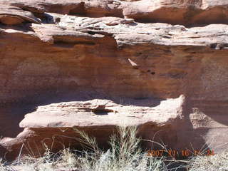 Canyonlands National Park - Lathrop Trail hike