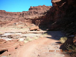 221 6bg. Canyonlands National Park - Lathrop Trail hike