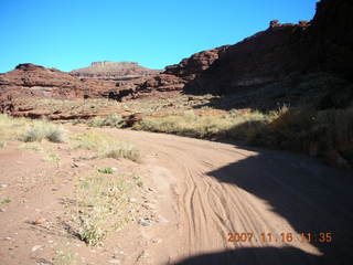 Canyonlands National Park - Lathrop Trail hike