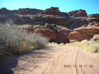 226 6bg. Canyonlands National Park - Lathrop Trail hike