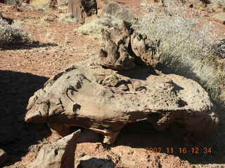 Canyonlands National Park - Lathrop Trail hike