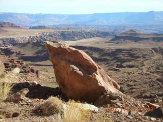 Canyonlands National Park - Lathrop Trail hike