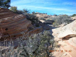 336 6bg. Canyonlands National Park - Lathrop Trail hike