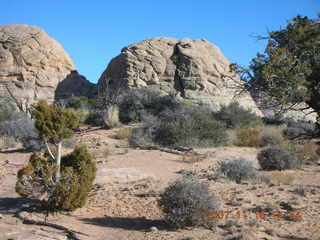 Canyonlands National Park - Lathrop Trail hike