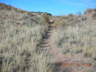 Canyonlands National Park - Lathrop Trail hike