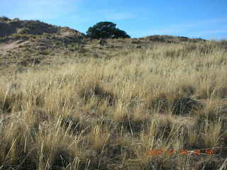 351 6bg. Canyonlands National Park - Lathrop Trail hike