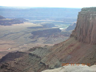 Canyonlands National Park - intricate plant