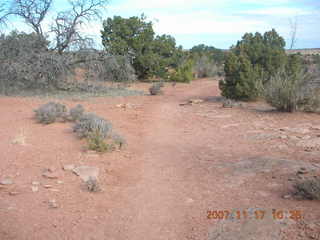 Canyonlands National Park - Grand View Overlook