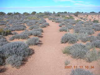 road from canyonlands to dead horse point